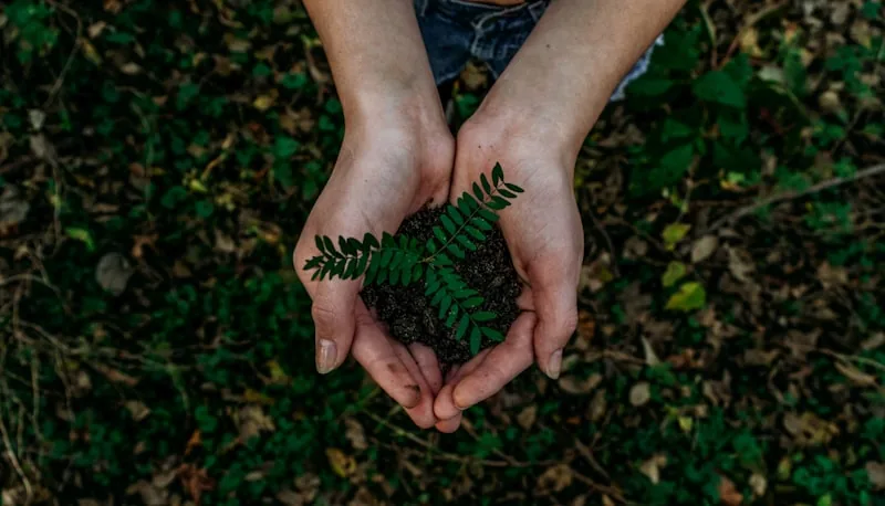 Profissional em levantamento ambiental de campo